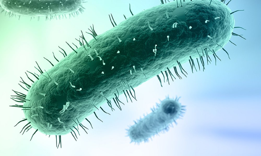 Ảnh 5 của Nhiễm khuẩn Mycoplasma Genitalium